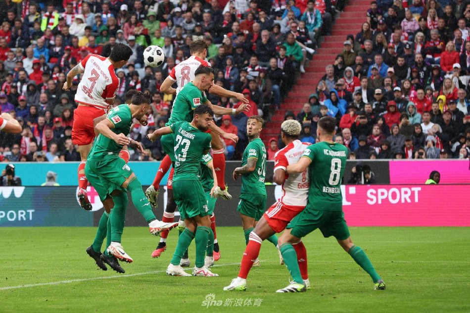 员阿尔瓦雷 员阿尔瓦雷